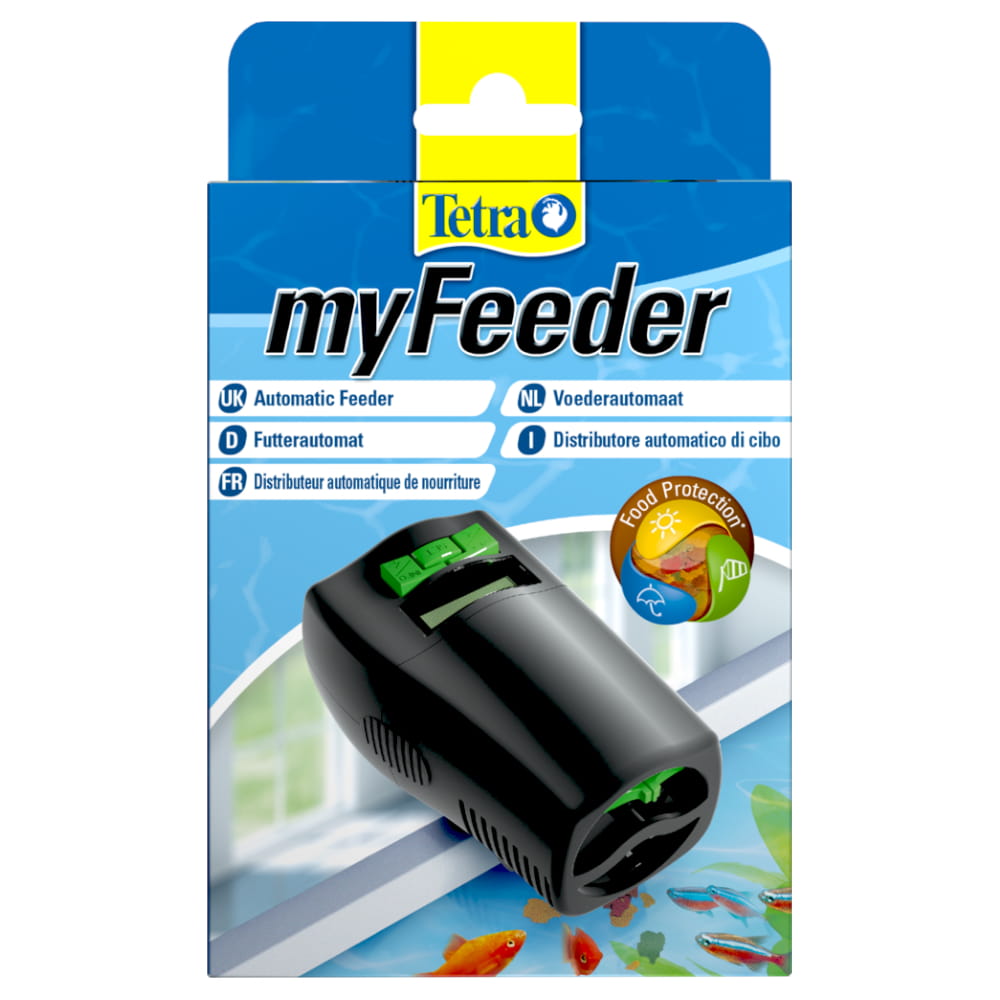 my feeder.jpg